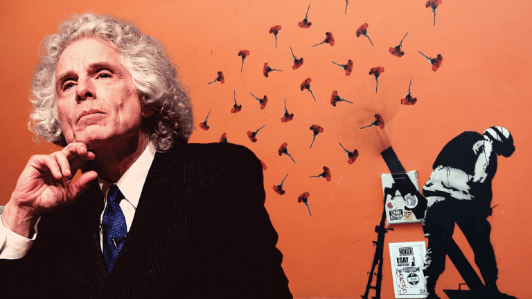 Steven Pinker Better Angels 1